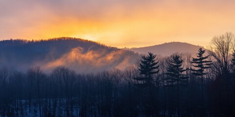 Obraz premium Morning mist rises over rolling hills under a vibrant sunrise in a tranquil forest landscape