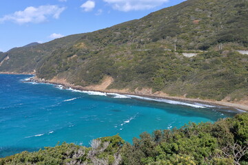 柏島　竜ヶ浜海岸　冬の荒れた海　（高知県　大月町）