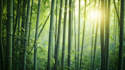 Fototapeta premium bamboo pathway surrounded by tall bamboo trees, with rays of sunlight shining through the bamboo leaves and casting a serene glow on the path 