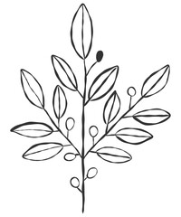 tiny wild flowers and plants line art botanical illustrations. Trendy greenery hand draw lines black ink sketches. vector illustration