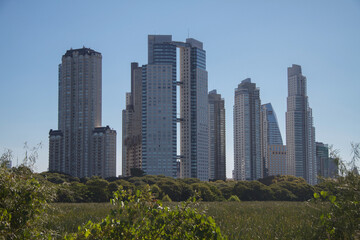 Fototapeta premium Puerto Madero Skyline 