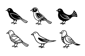set of birds