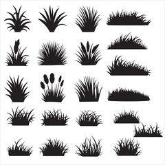 set vector various grass, grass landscape, grassland silhouettes