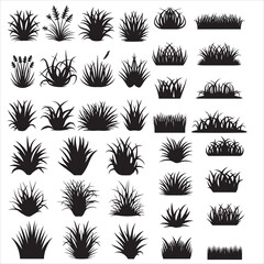 set vector various grass, grass landscape, grassland silhouettes