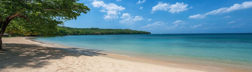 Fototapeta premium Serene beachscape lone tree on sandy shore under vibrant blue sky tranquil