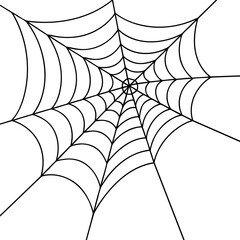 Spider web background. Detailed spider web illustration with concentric pattern lines. Vector illustration