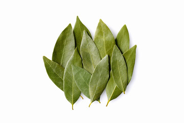 ローリエの葉　Bay leaf