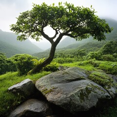 Obraz premium lush green landscape with a tree and rocks