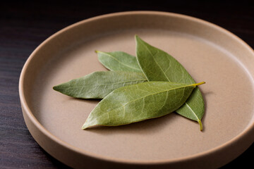 ローリエの葉　Bay leaf