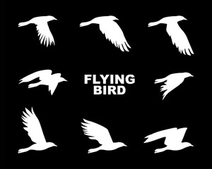 Flying bird animation. Shillouette. Wing