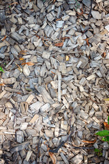 Wooden chip mulch ground's fragment. A textured background of wooden chips commonly used in...
