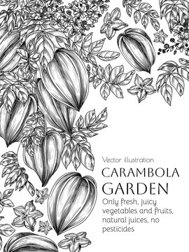 Vector frame with carambola tree and slice, piece, half of fruit in engraving style. Grocery store brochure. Fresh farm fruits. Organic farming. Nutrition banner, healthy eating