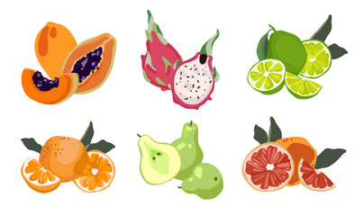 Set of colorful fruit illustrations with papaya, dragon fruit, lime, orange, pear and grapefruit. Whole and sliced fruits for food, packaging, menu, healthy eating concepts. Vector illustration
