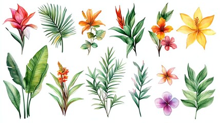 A vibrant collection of watercolor tropical flowers and leaves, showcasing various colors and shapes ideal for botanical designs.
