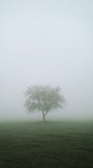 Spring meadow mist nature tree.