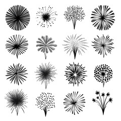 Obraz premium A grayscale collection of unique floral designs radiating beauty and elegance showcasing various shapes and textures a captivating botanical art