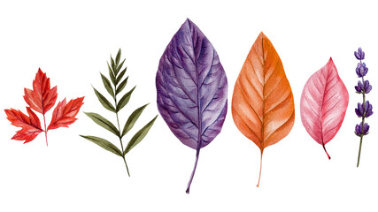 Fototapeta premium Watercolor autumn leaves and floral branches. Botanical fall foliage set colorful leaves, wildflowers, herbal elements