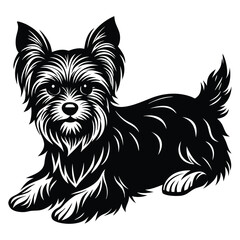 Yorkshire Terrier Dog Silhouette Vector Art.  A clean black silhouette of a Yorkshire Terrier dog Laying Down isolated on a white background.