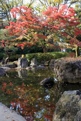 日本　埼玉の風景