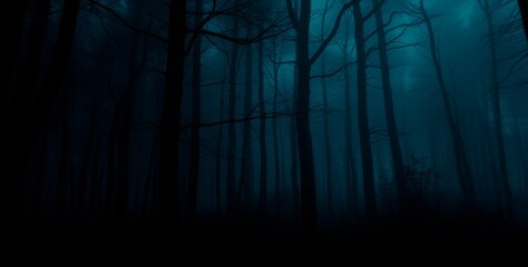 Obraz premium Eerie Forest In The Dark