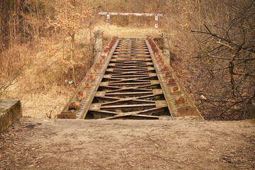 stare tory  © Marcin Łazarczyk
