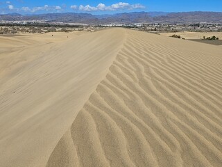 Maspalomas Sanddünen Gran Canaria