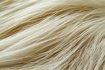 Fototapeta premium A macro shot of soft, flowing fur with subtle beige tones, capturing the intricate details and delicate texture of the animal's coat in natural light.