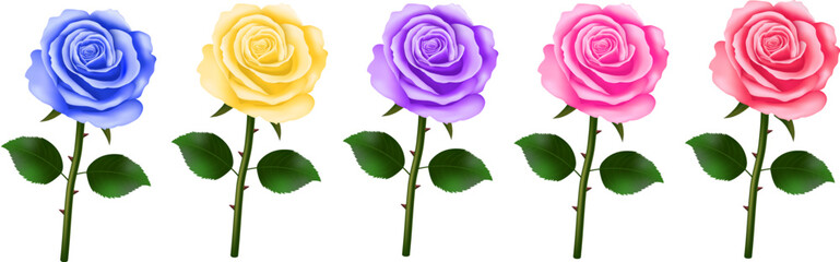 Realistic rose illustration with red, yellow, blue and pink roses on white background