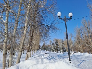 winter in the park
