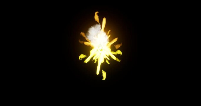 muzzle flash effect on black background
