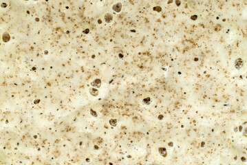 Texture of fermented dough or sourdough with bubbles. Bakery. Dough
