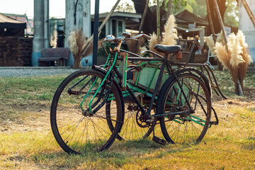 Fototapeta premium Antique tricycle. Old classic bicycle placed in grass to decorative element. Old tricycle with bench style seating. Old tricycle vintage garden for decorative items antiques collection classic bike.