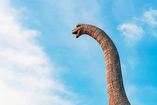 Toy Dinosaur head. Dinosaur head on sky background. View of a dinosaur head sculpture against blue sky. Brachiosaurus with blue sky background. A long necked brachiosaurus head in the forest sky.