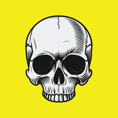 Realistic skull illustration graphic design
