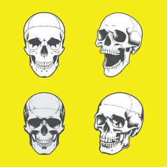 Set of skull scalable design 