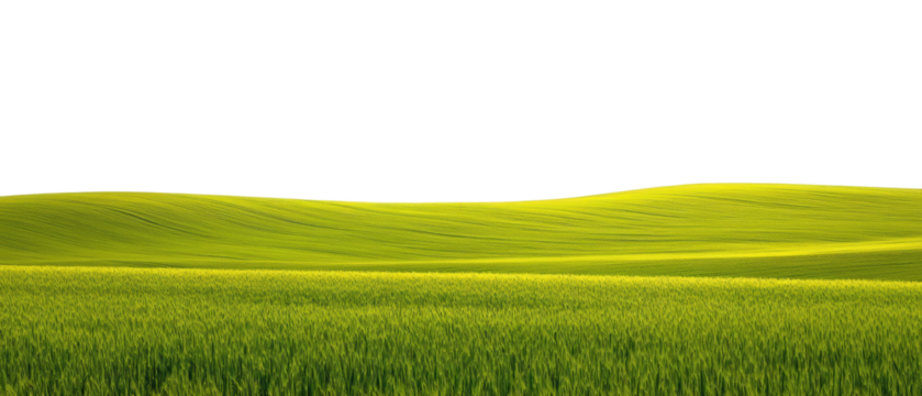 Green grass fields landscape with clear blue sky for nature background, outdoor scenery, tranquil rural setting perfect for travel and relaxation themes.