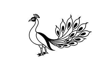 peacock vector illustration
