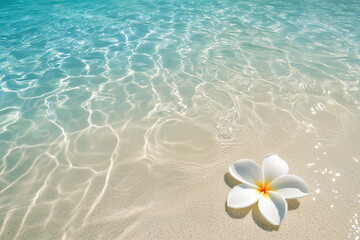 Obraz na płótnie Canvas White plumeria flower lying on sandy beach on white sand against tropical exotic seascape view clear water background. Summer holiday background.