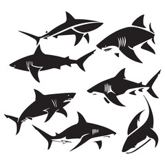 Black shark silhouette collection. Set of different shark silhouette on a white background