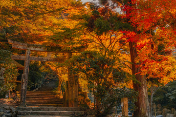 Torii on Miyajima Island, Hiroshima © Marcel Bisig