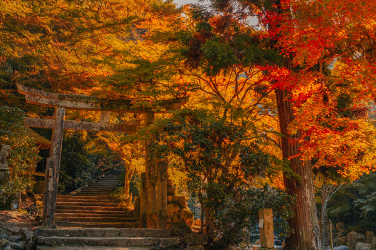Torii on Miyajima Island, Hiroshima