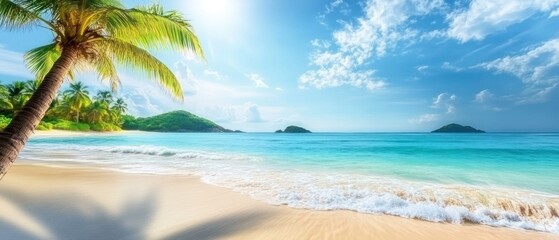 Palm Tree Overlooking Tropical Beach with Waves Crashing on Sandy Shore