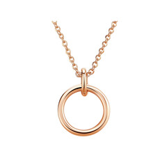 A sleek gold necklace featuring a circular pendant, Isolated on white background.
