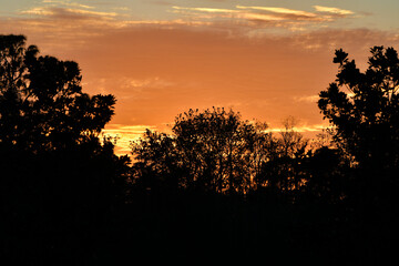 Sunset seen in the late afternoon in the Windermere region, Florida