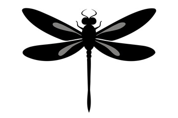 Minimalist Dragonfly Silhouette Vector Illustration on Transparent Background