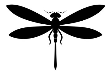 High-Quality Dragonfly Silhouette Vector Illustration  Isolated on Transparent Background