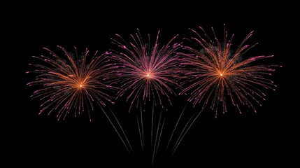 Watching Exploding Fireworks Display at Night Sky Celebration Event