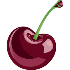 A single glossy cherry berry in deep cherry red with a green stem, with soft shading highlights