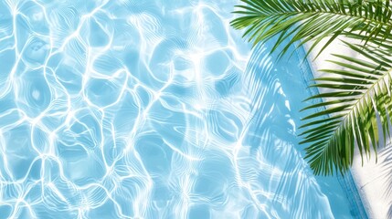 Azure Ripples Reflecting Sunlight with Palm Fronds in Summer Holiday Still Life