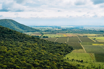 Obraz premium View on the Alazani river valley and fields from the ancient Nekresi Monastery in Kakheti, Georgia. 